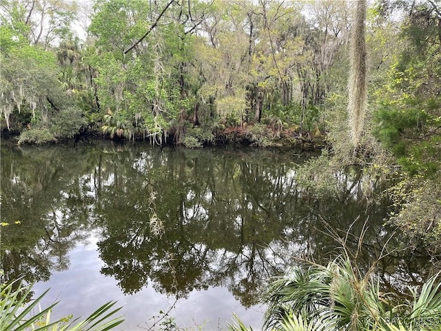 10574 Dawnflower Pt, Crystal River, FL 34428 - photo 1