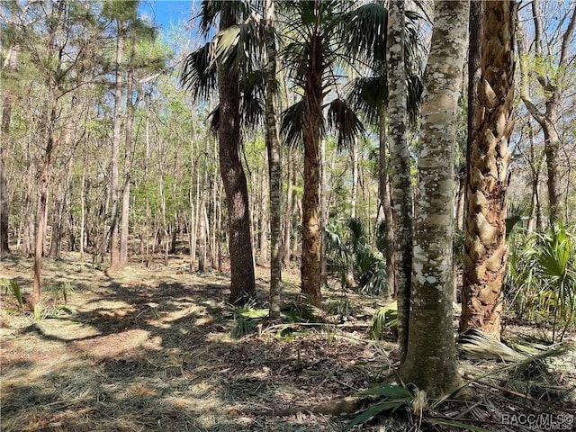 10574 Dawnflower Pt, Crystal River, FL 34428 - photo 9