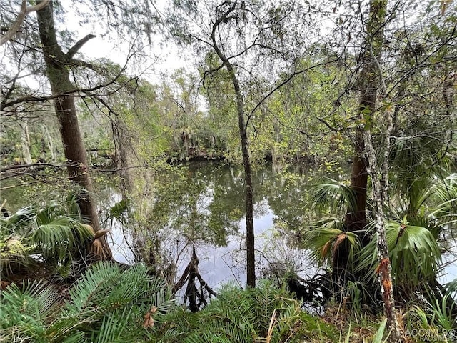 10574 Dawnflower Pt, Crystal River, FL 34428 - photo 6