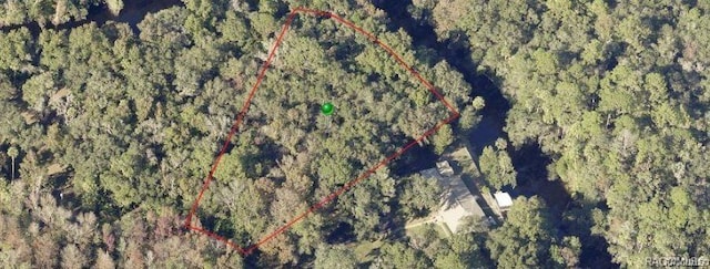 10574 Dawnflower Pt, Crystal River, FL 34428 - photo 18