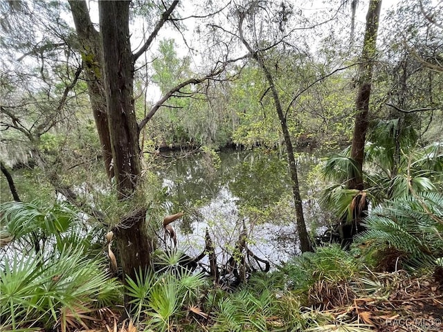 10574 Dawnflower Pt, Crystal River, FL 34428 - photo 5