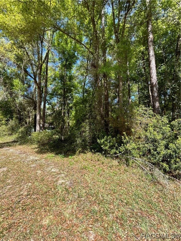 1327 W Alexander Dr, Citrus Springs FL, 34434 land for sale