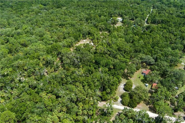 15085 W Roosters Crow Rd, Inglis, FL 34449 - photo 5