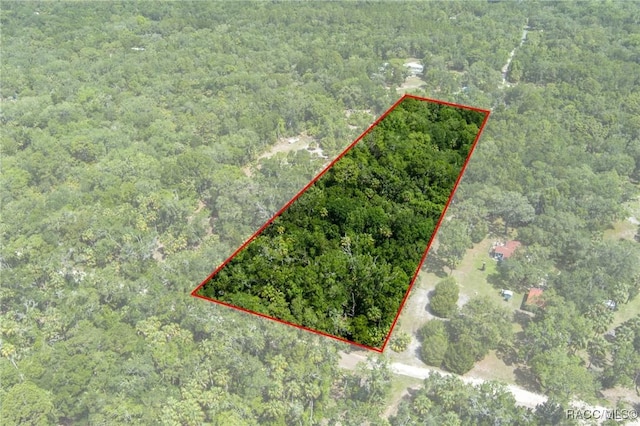 15085 W Roosters Crow Rd, Inglis, FL 34449 - photo 4