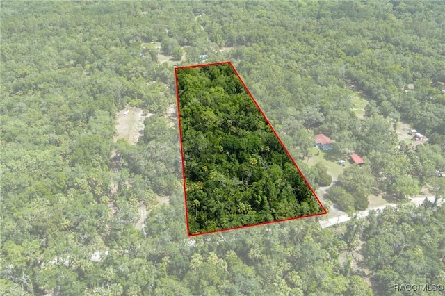 15085 W Roosters Crow Rd, Inglis, FL 34449 - photo 6