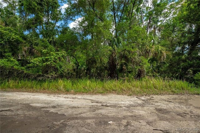 15085 W Roosters Crow Rd, Inglis, FL 34449 - photo 1