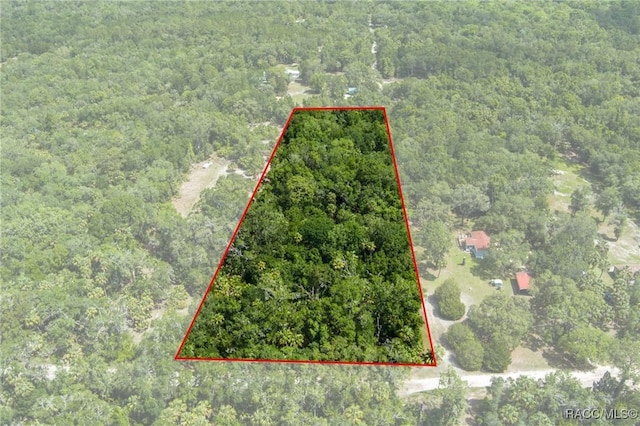 15085 W Roosters Crow Rd, Inglis, FL 34449 - photo 2