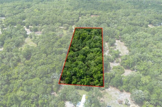 15085 W Roosters Crow Rd, Inglis, FL 34449 - photo 10