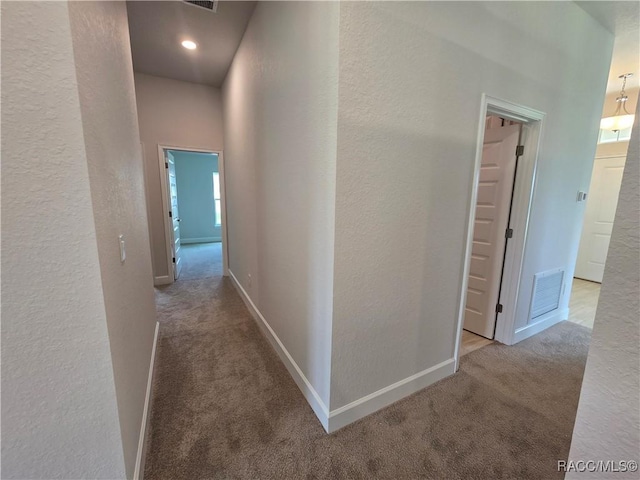 348 W Rexford Dr, Beverly Hills, FL 34465 - corridor with carpet floors and a textured wall