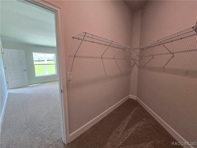 348 W Rexford Dr, Beverly Hills, FL 34465 - walk in closet with carpet