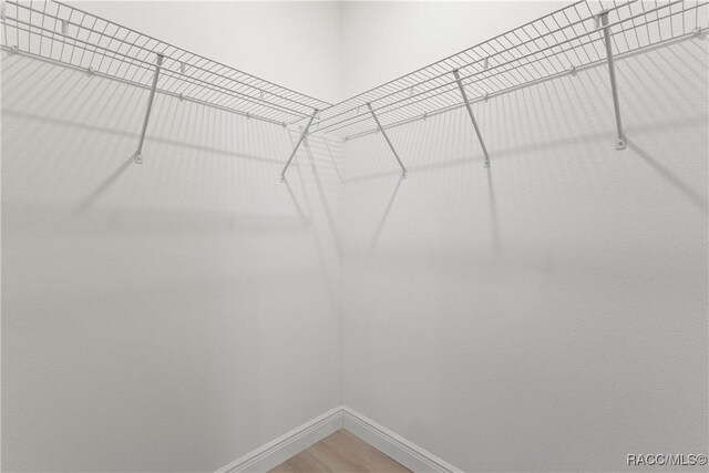 spacious closet with light wood-style flooring