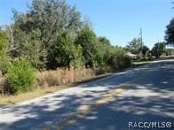 Listing photo 3 for 0000 SW Marine Blvd, Dunnellon FL 34431