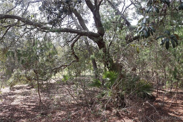 9657 N Timber Creek Ter, Dunnellon, FL 34433