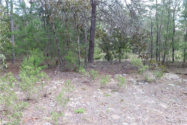 9657 N Timber Creek Ter, Dunnellon FL, 34433 land for sale