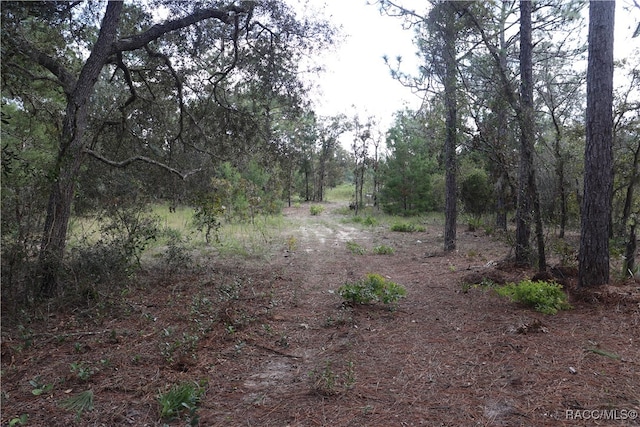 Listing photo 3 for 9657 N Timber Creek Ter, Dunnellon FL 34433