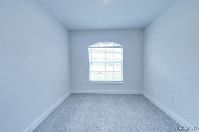 spare room with carpet floors