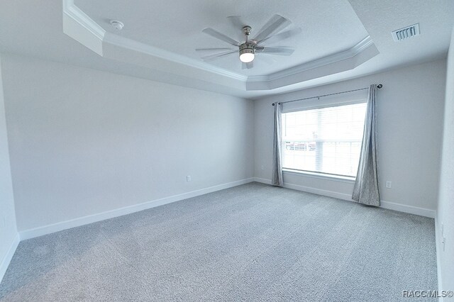 spare room featuring light carpet, a raised ceiling, and crown molding