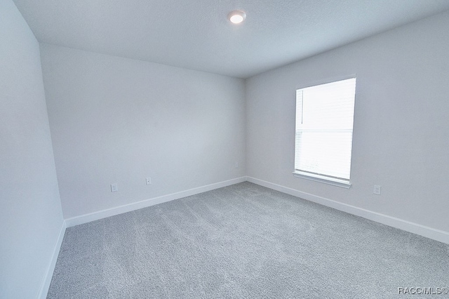 spare room with carpet floors