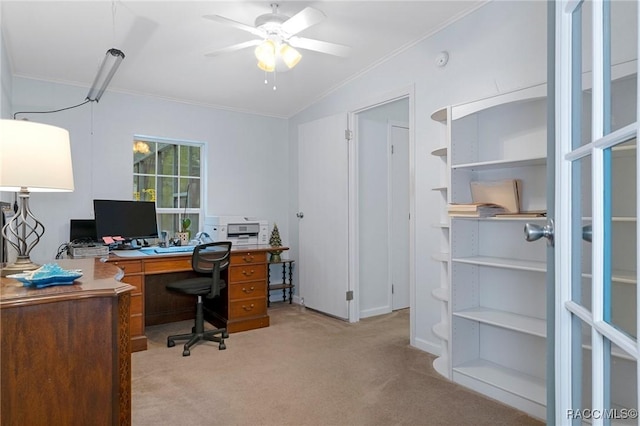 carpeted home office with ceiling fan and ornamental molding