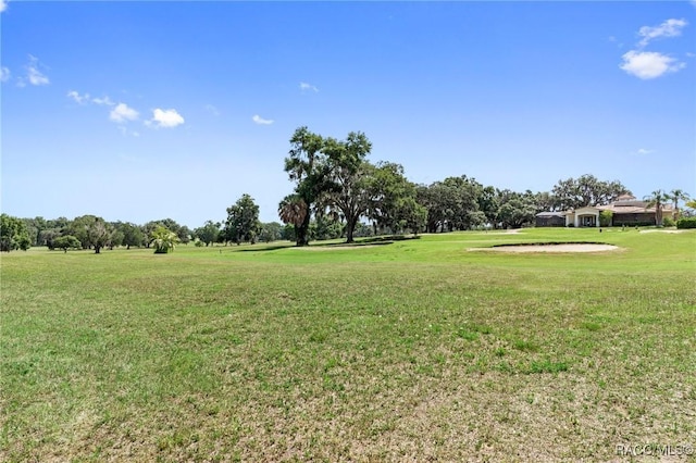 view of home's community with a yard