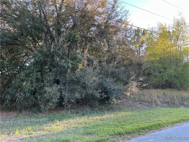 2892 W Eunice Dr, Citrus Springs, FL 34433