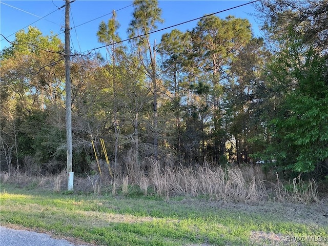 2892 W Eunice Dr, Citrus Springs, FL 34433