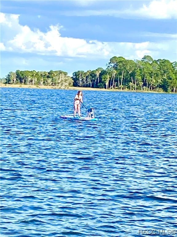 property view of water