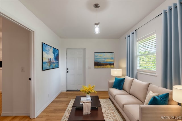 living room featuring light hardwood / wood-style floors