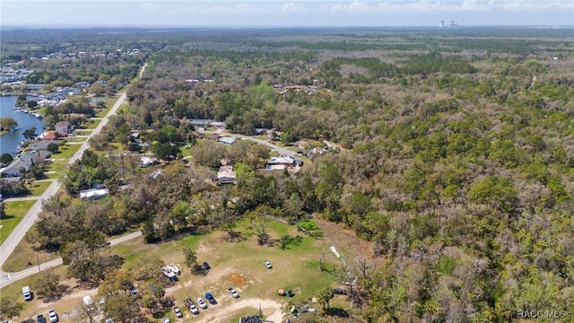 birds eye view of property with a water view and a forest view