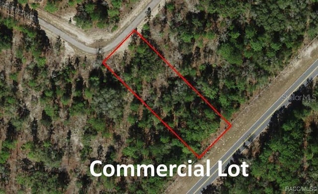 10522 N Elkcam Blvd, Citrus Springs, FL 34433
