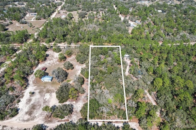 3539 W Barrett Ct, Dunnellon FL, 34433 land for sale