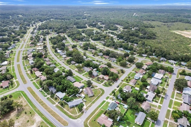 bird's eye view