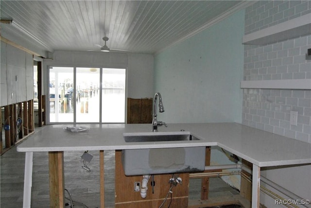 kitchen featuring ceiling fan, sink, and ornamental molding