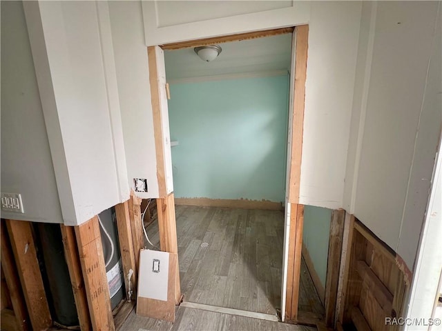 bathroom featuring wood-type flooring