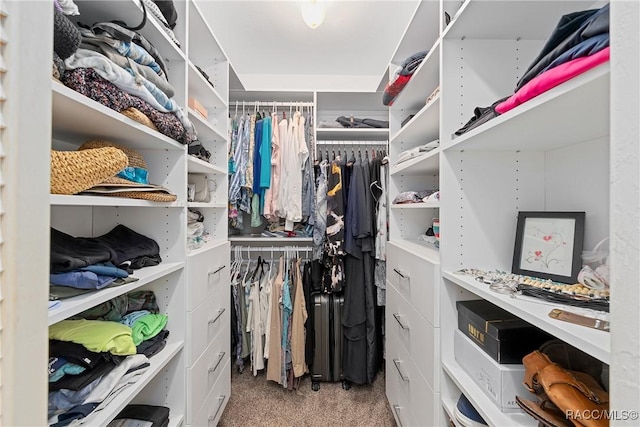 spacious closet with carpet floors