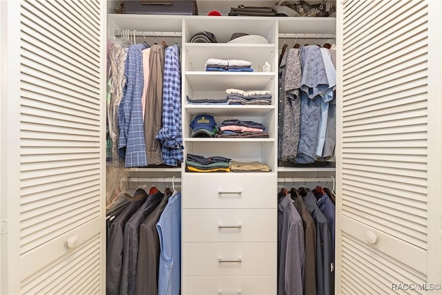 view of closet