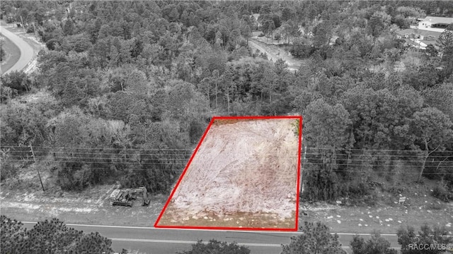 10510 N Elkcam Blvd, Citrus Springs, FL 34433 - photo 4