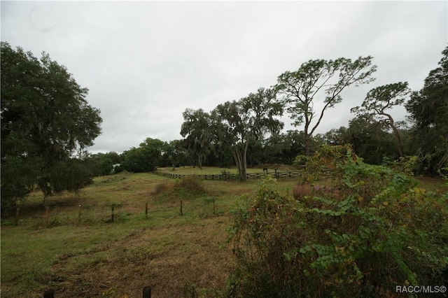 view of local wilderness featuring a rural view