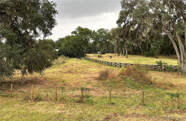 view of yard with a rural view