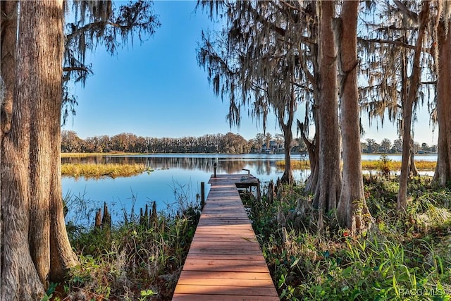 dock area featuring a water view