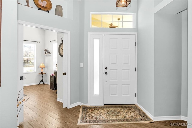 foyer entrance with wood-type flooring