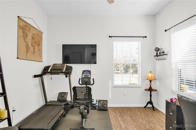 exercise area featuring light hardwood / wood-style flooring