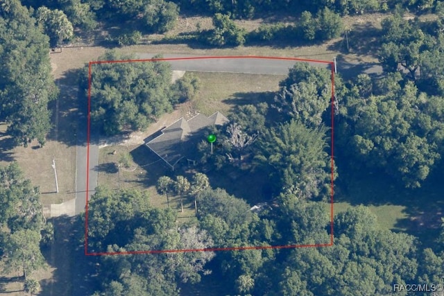 10243 W Pamondeho Cir, Crystal River, FL 34428 - photo 42