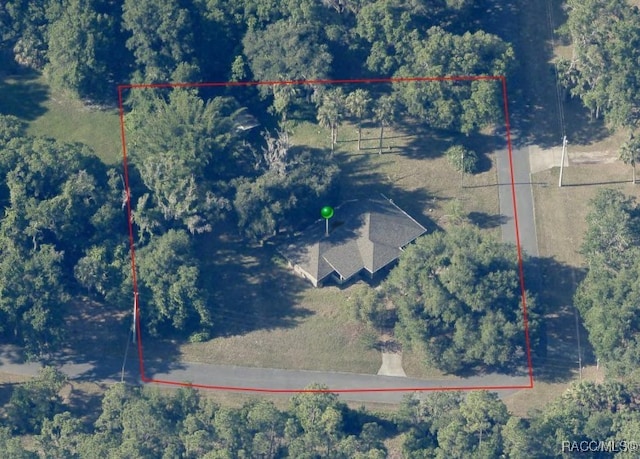 10243 W Pamondeho Cir, Crystal River, FL 34428 - photo 44