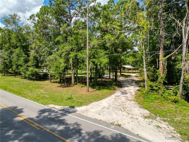 10097 Weatherly Rd, Brooksville, FL 34601 - photo 5