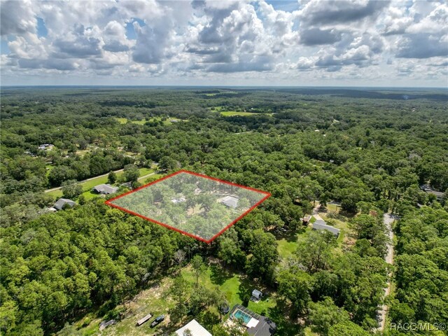 10097 Weatherly Rd, Brooksville, FL 34601 - photo 66