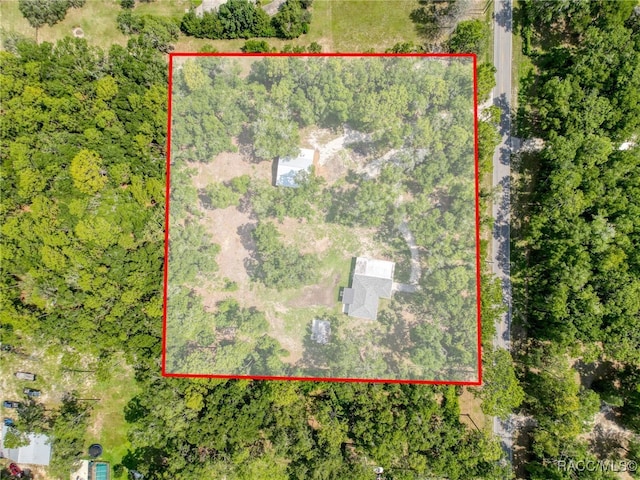 10097 Weatherly Rd, Brooksville, FL 34601 - photo 70
