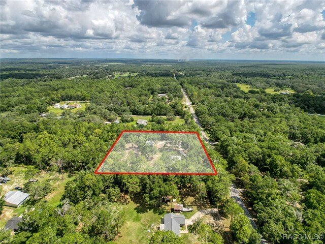 10097 Weatherly Rd, Brooksville, FL 34601 - photo 68