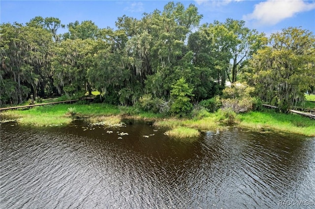 6694 S Merleing Loop, Floral City, FL 34436 - photo 2