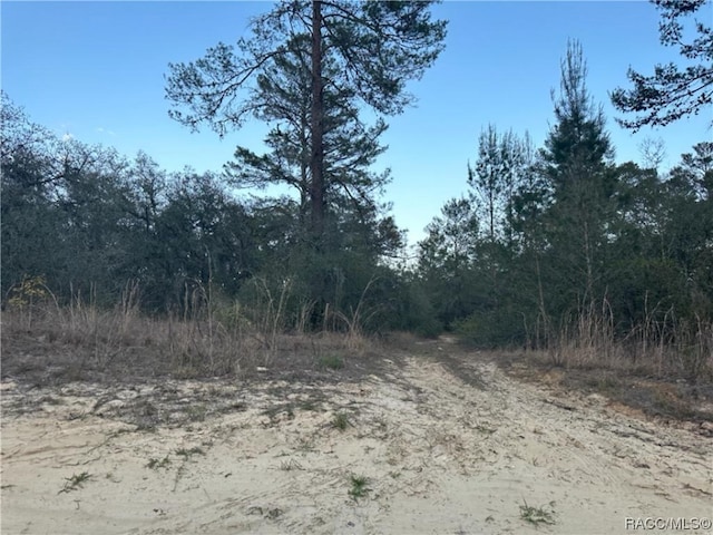 2706 Woodhill St, Inverness FL, 34452 land for sale